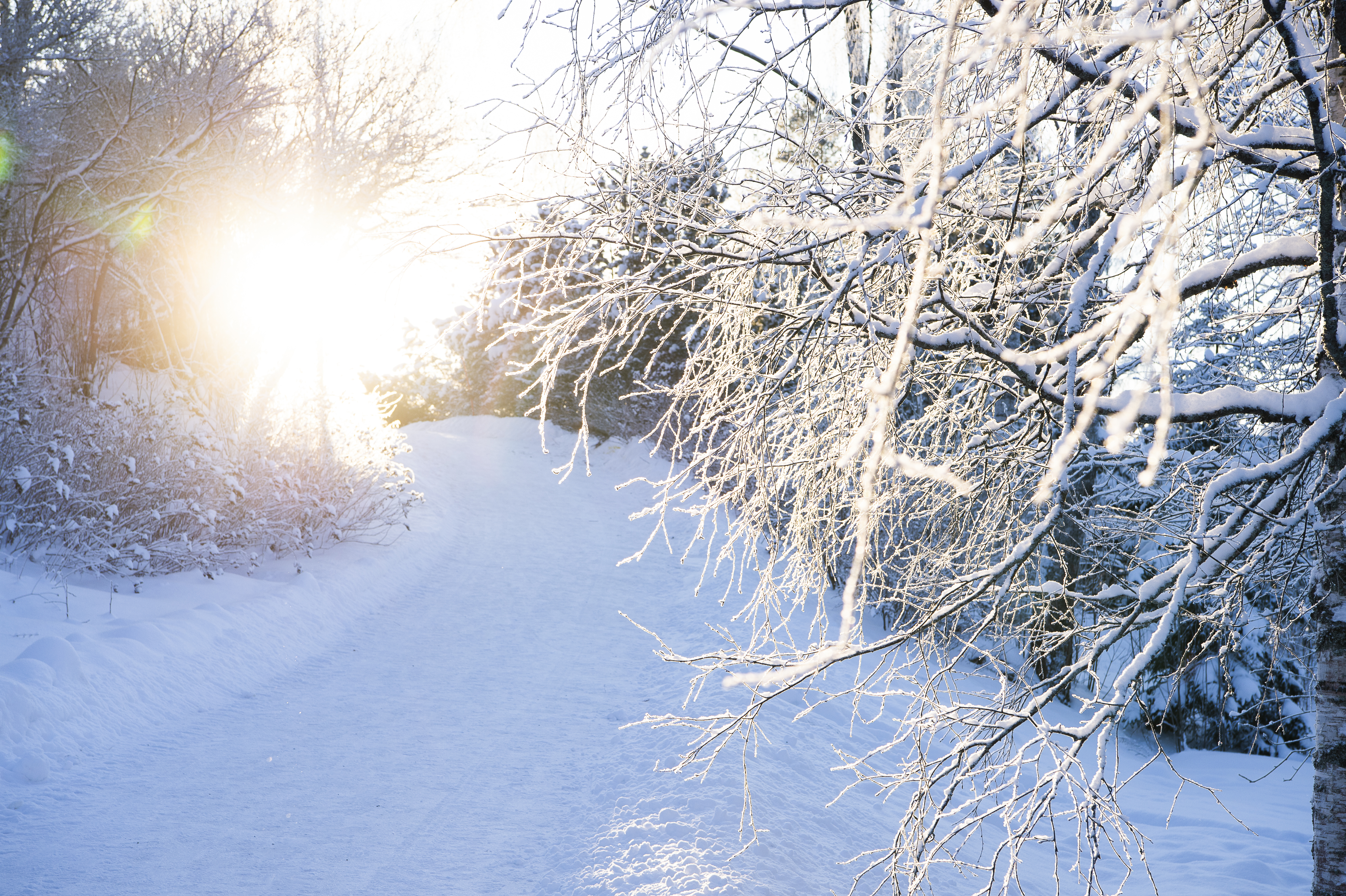 Aurinkoinen pakkaspäivä Lempäälässä